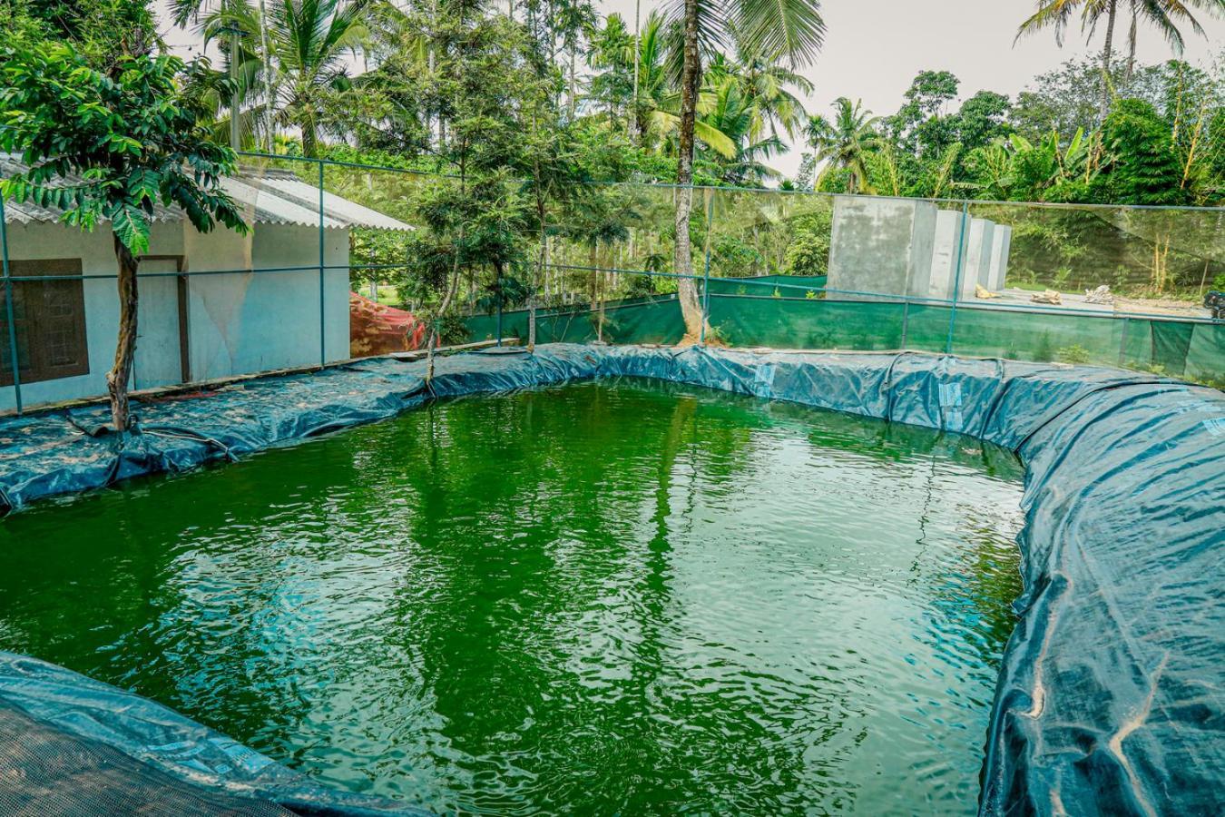 Green Aura Hotel Sultan Bathery Exterior photo